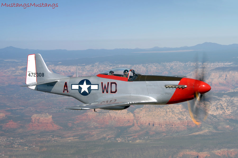 44-72483_01571_cf1.jpg