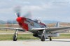 P-51