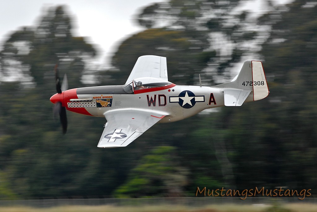 44-72483_8379_cf1.jpg