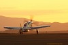 P-51