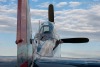 P-51