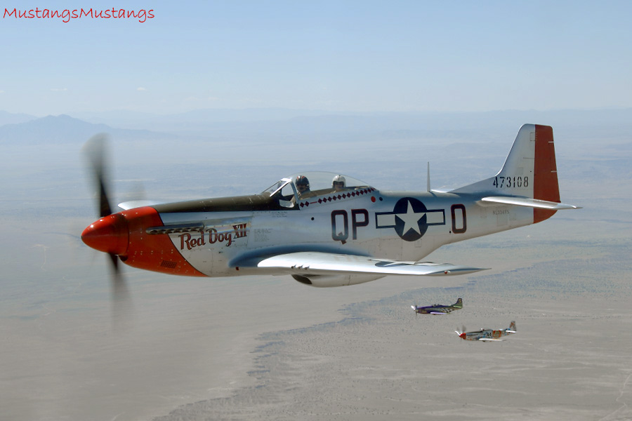 44-72777_01699_cf1.jpg