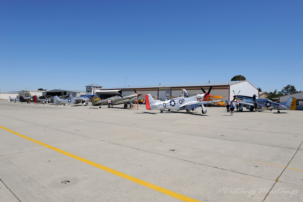 44-72907_01855_cf1.jpg