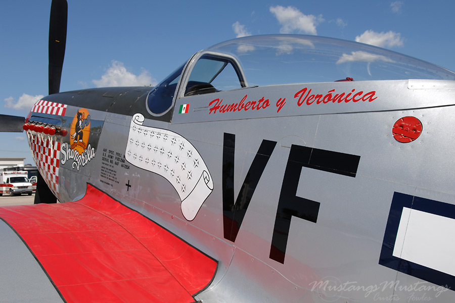 44-72934_01874_cf1.jpg