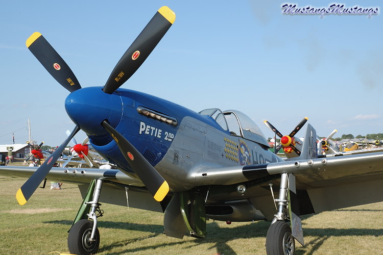 44-72942_01917_cf1.jpg