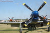 P-51