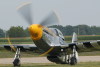 P-51