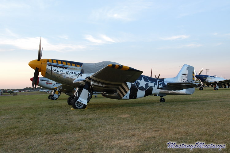 44-73029_01965_cf1.jpg