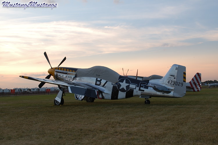 44-73029_01966_cf1.jpg