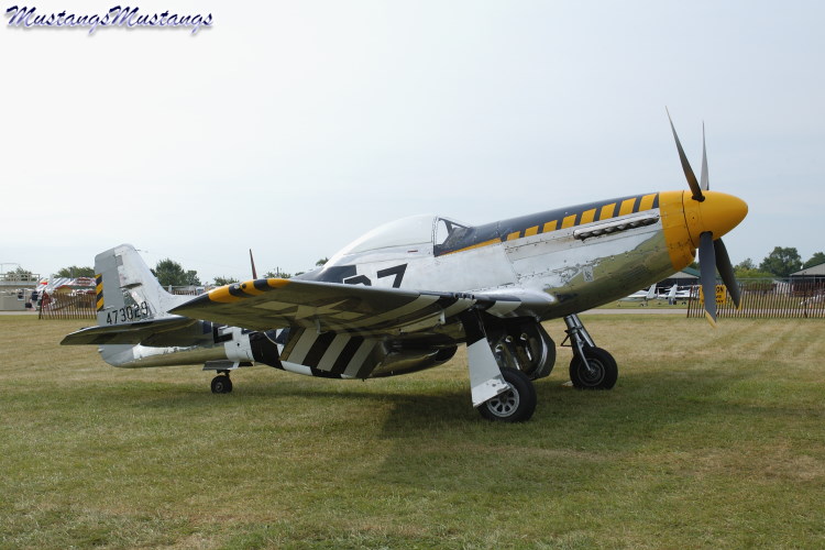44-73029_01967_cf1.jpg