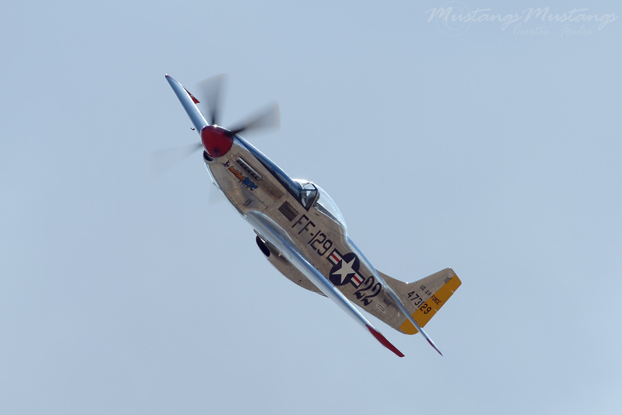 44-73129_02067_cf1.jpg