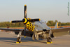 P-51
