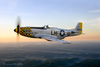 P-51