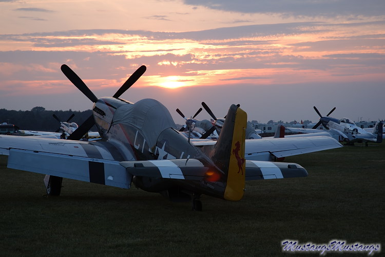 44-73264_02286_cf1.jpg