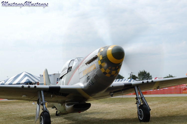 44-73264_02293_cf1.jpg