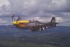 P-51