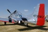 P-51