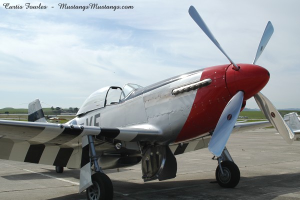 44-73339_06950_cf1.jpg
