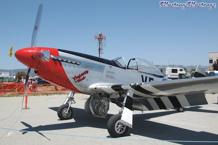 44-73339_06958_cf1.jpg