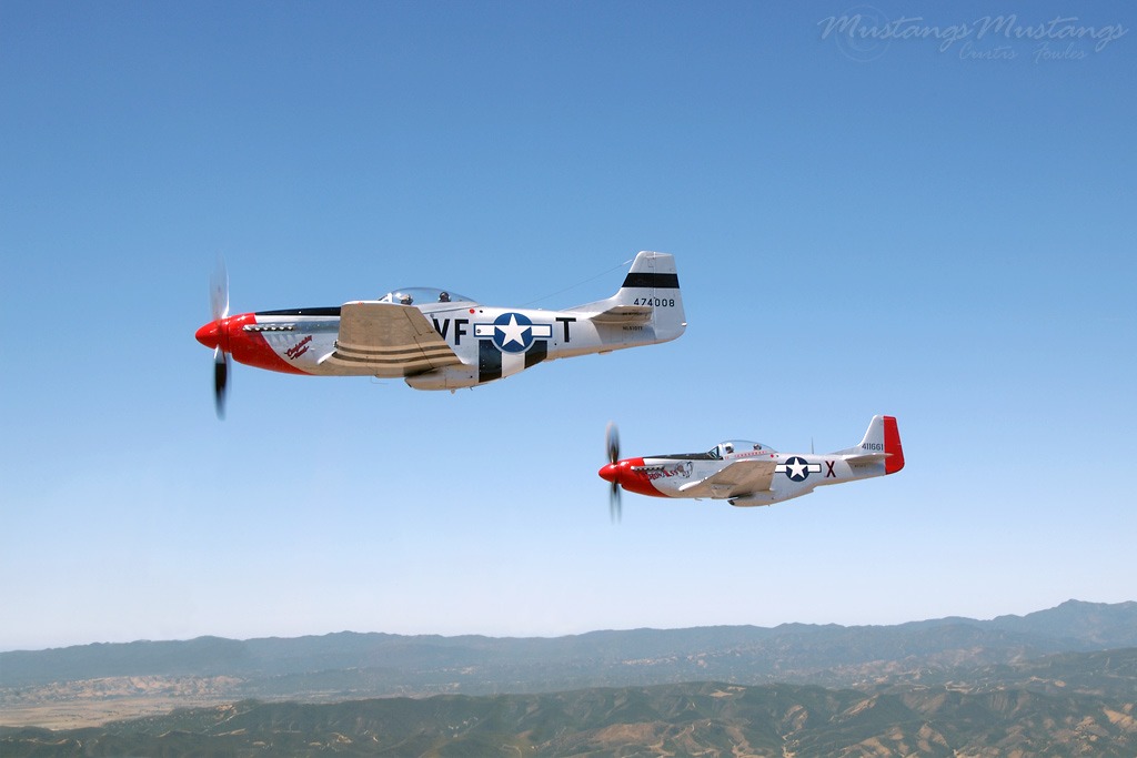 44-73339_8854_cf1.jpg