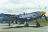 P-51