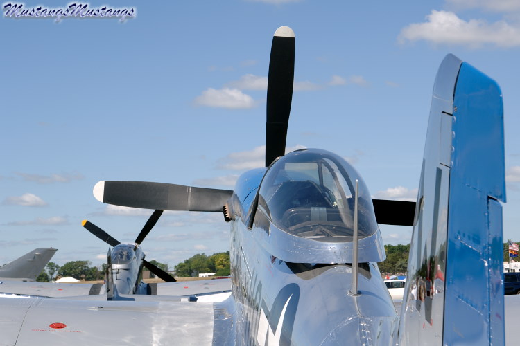 44-73656_02875_cf1.jpg