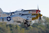 P-51