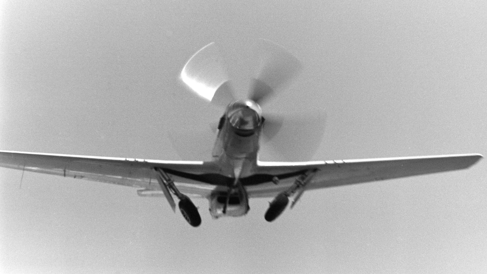 44-74008_9861_GD1.jpg