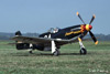 P-51