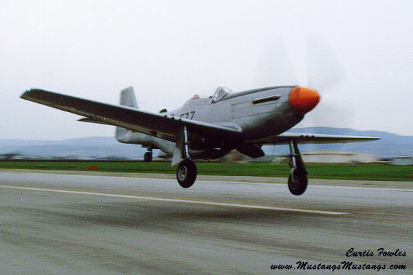 44-74311_03217_cf1.jpg