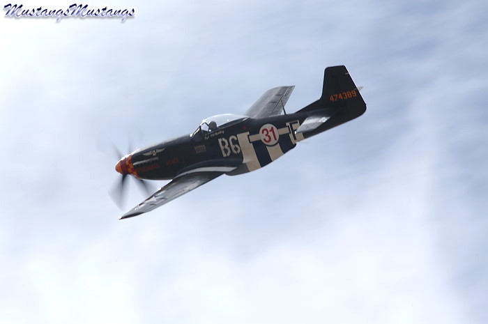 44-74389_03264_cf1.jpg