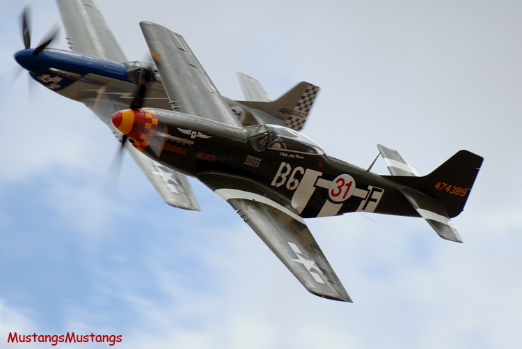 44-74389_03276_cf1.jpg