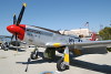 P-51