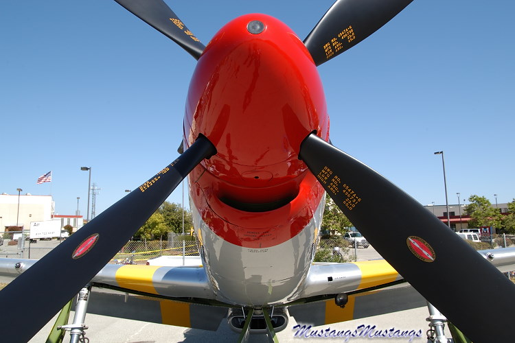 44-74391_03320_cf1.jpg