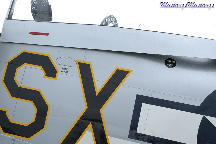44-74417_06157_cf1.jpg