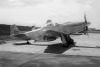 P-51