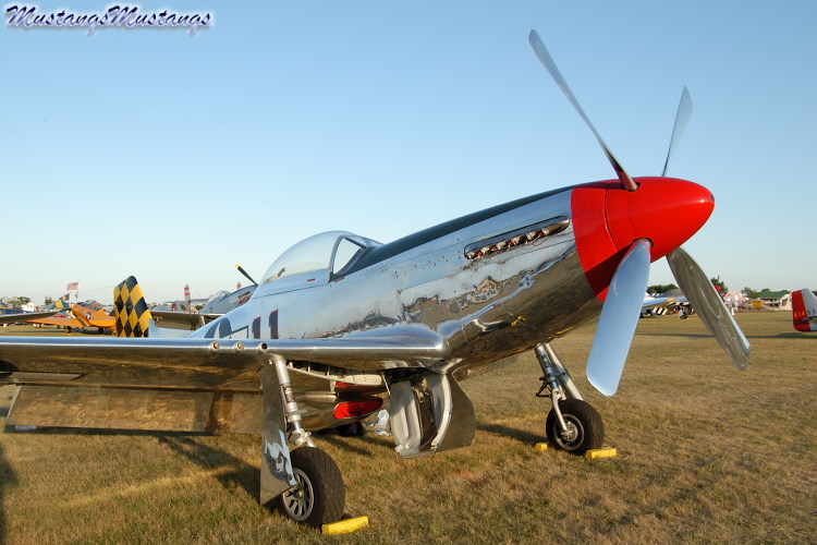 44-74446_03534_cf1.jpg