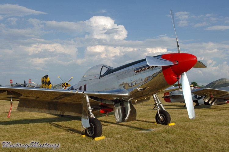 44-74446_03542_cf1.jpg