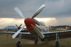 P-51
