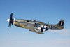 P-51