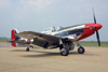 P-51