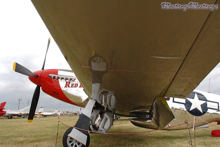 44-74469_03654_cf1.jpg