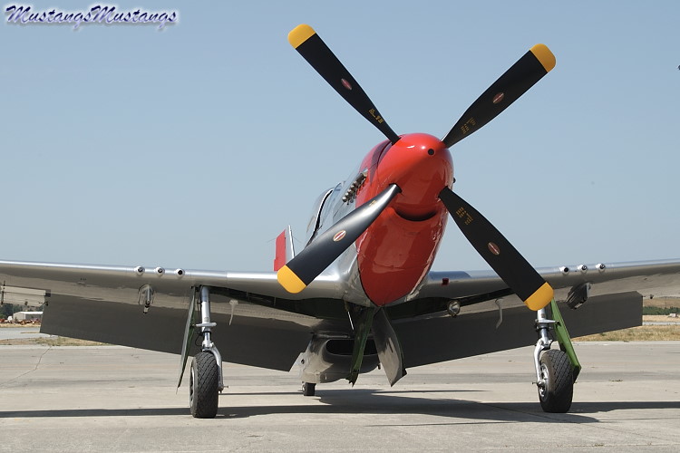 44-74494_03776_cf1.jpg