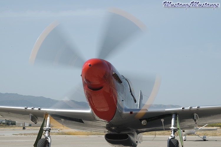 44-74494_03787_cf1.jpg