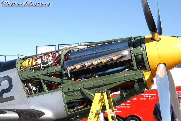 44-74582_04077_cf1.jpg