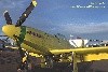 P-51