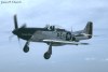 P-51
