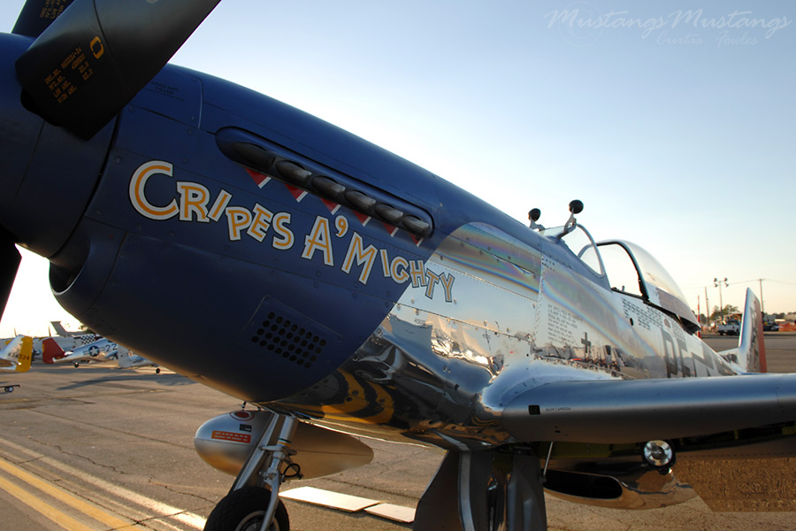 44-74813_04181_cf1.jpg