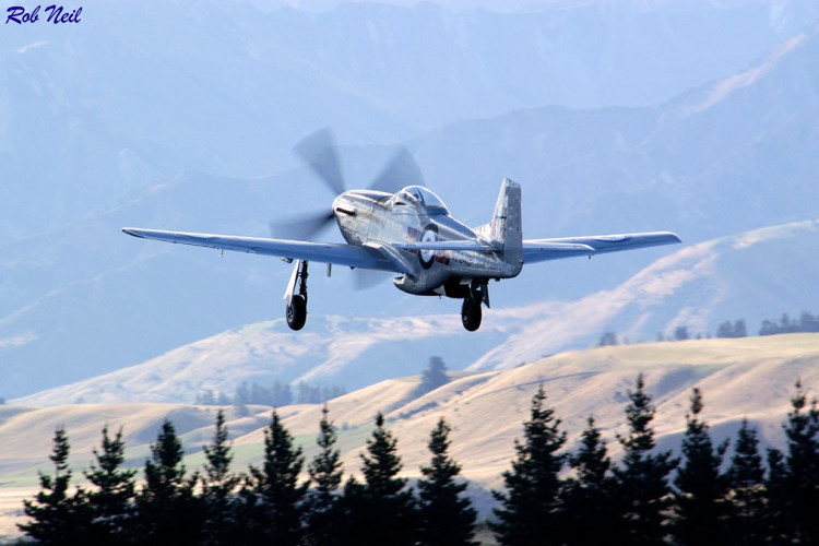 44-74829_04213_rn1.jpg