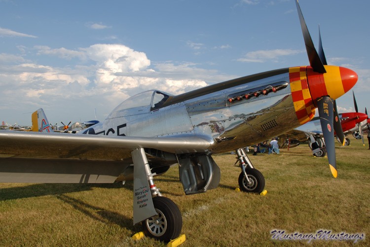 44-74865_04248_cf1.jpg